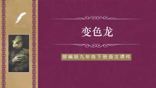 6 变色龙  课件(共48张PPT)