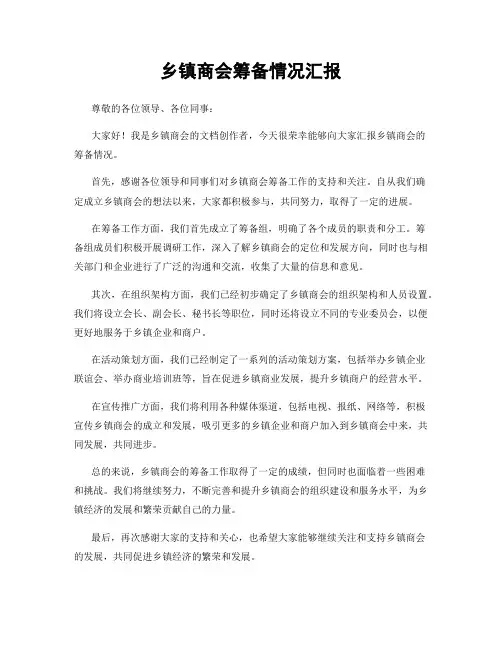 乡镇商会筹备情况汇报