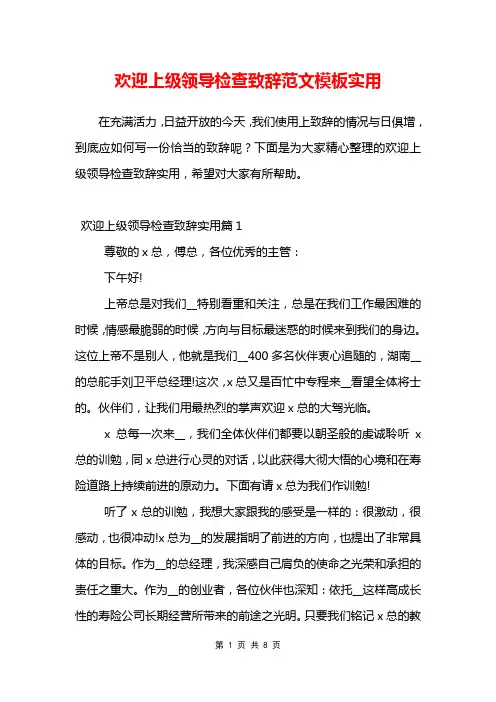 欢迎上级领导检查致辞范文模板实用