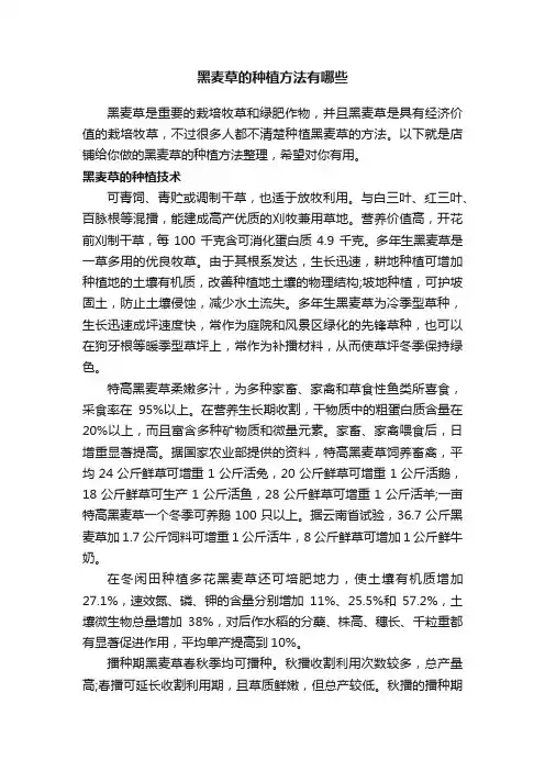 黑麦草的种植方法有哪些