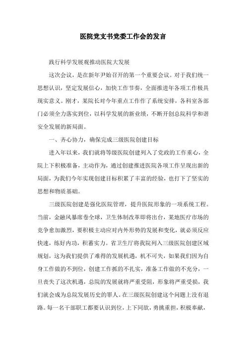 医院党支书党委工作会的发言