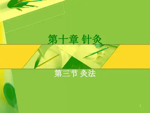 中医针灸灸法ppt课件