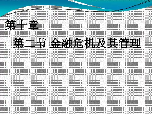 金融专业知识与实务第十章 金融危机的课件 