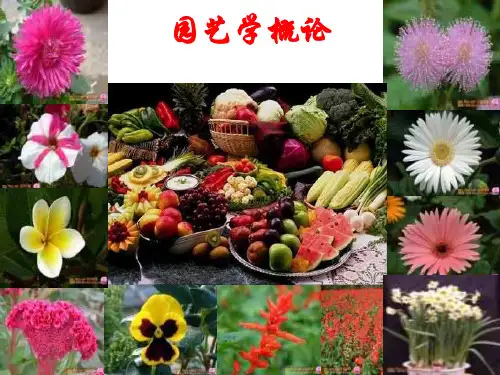 园艺概论绪论