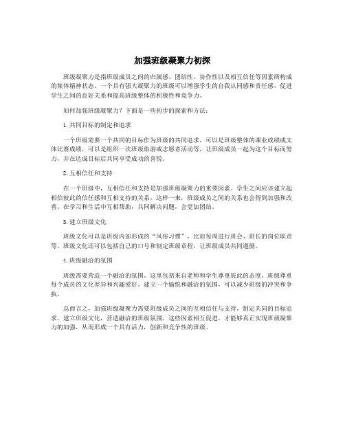 加强班级凝聚力初探