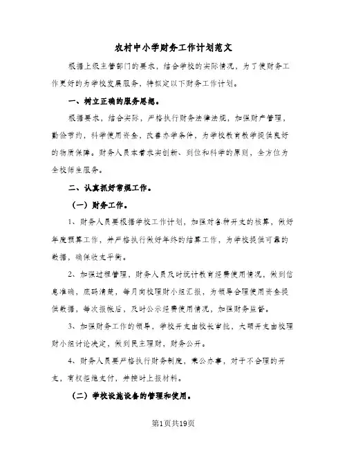 农村中小学财务工作计划范文(七篇)