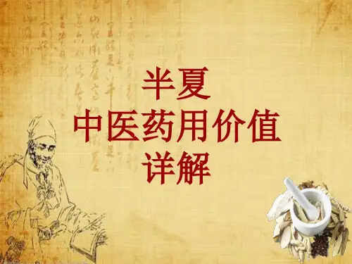 中药学_半夏_药材详解课件模板