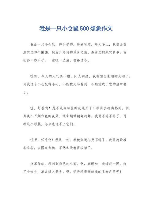 我是一只小仓鼠500想象作文