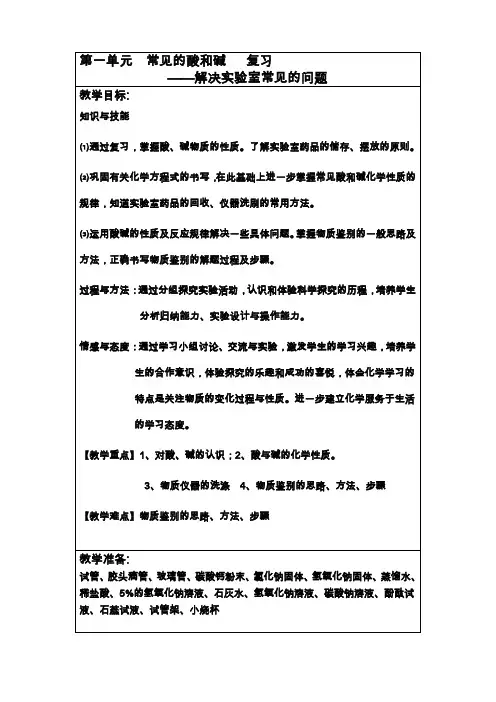 常见的酸和碱专题式复习教案