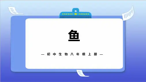 最新人教版初中八年级生物上册《鱼》教学课件