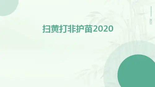 扫黄打非护苗2020ppt