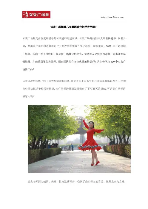 就爱广场舞云裳广场舞哪几支舞蹈适合初学者学跳？