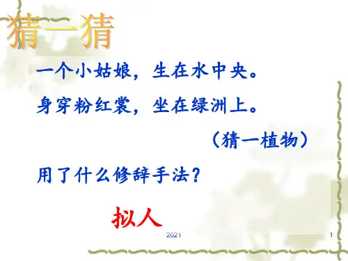 比喻拟人PPT课件