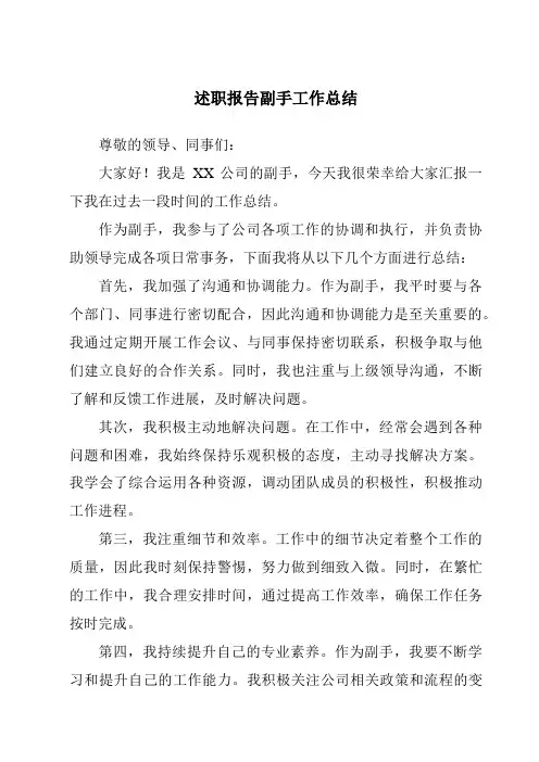 述职报告副手工作总结