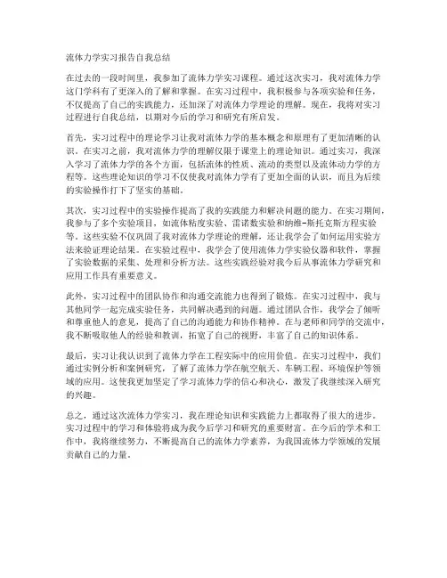 流体力学实习报告自我总结