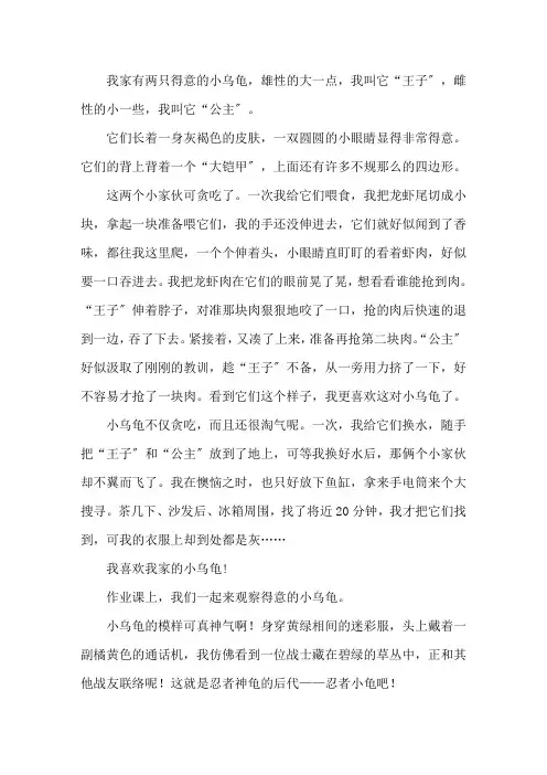 小乌龟日记(15篇)精选