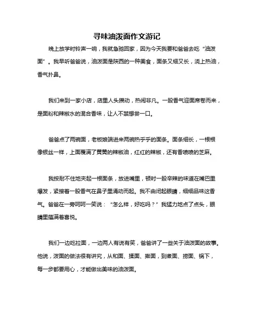 寻味油泼面作文游记