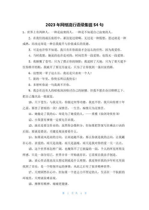 2023年网络流行语录集锦54句