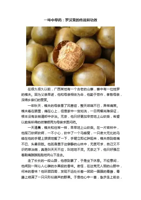 一味中草药：罗汉果的传说和功效