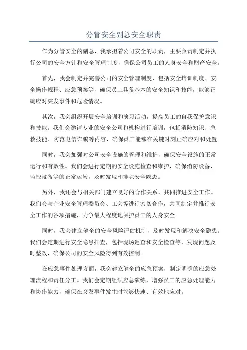 分管安全副总安全职责