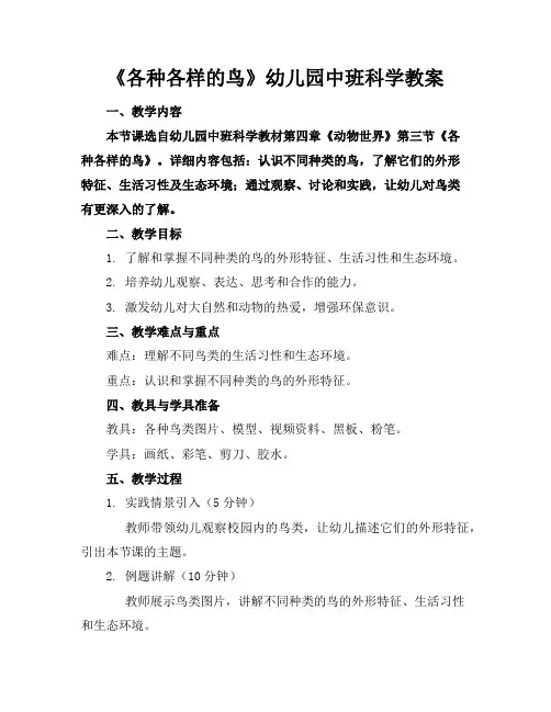 《各种各样的鸟》幼儿园中班科学教案