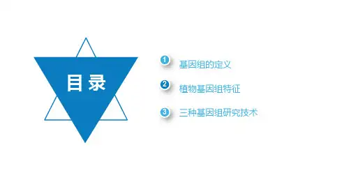 什么是植物基因组