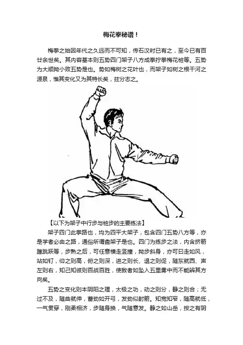 梅花拳秘谱！