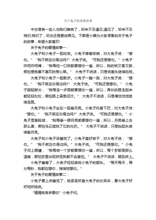 关于兔子的爱情故事_爱情故事