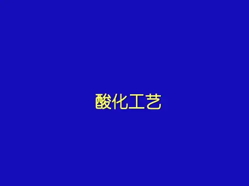酸化工艺简介可编辑全文
