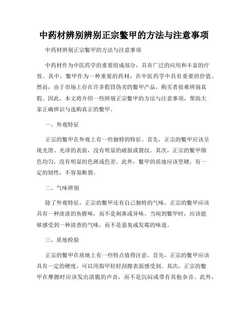 中药材辨别辨别正宗鳖甲的方法与注意事项