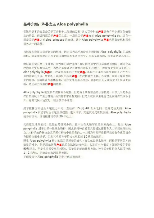 螺旋芦荟(芦荟女王)
