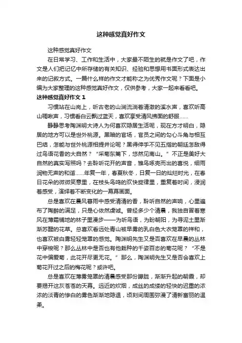 这种感觉真好作文