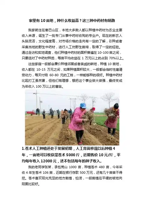 家里有10亩地，种什么收益高？这三种中药材有销路