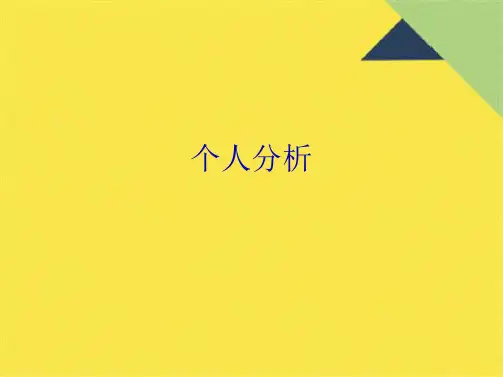 个人分析(共6张PPT)