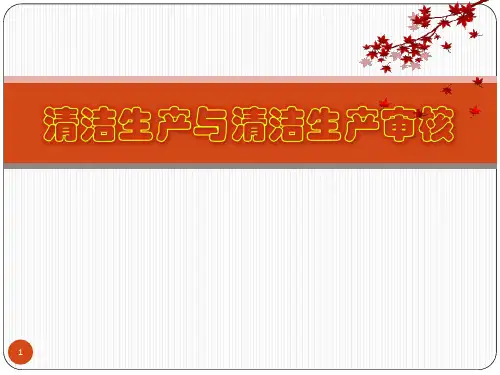清洁生产与清洁生产审核培训ppt课件