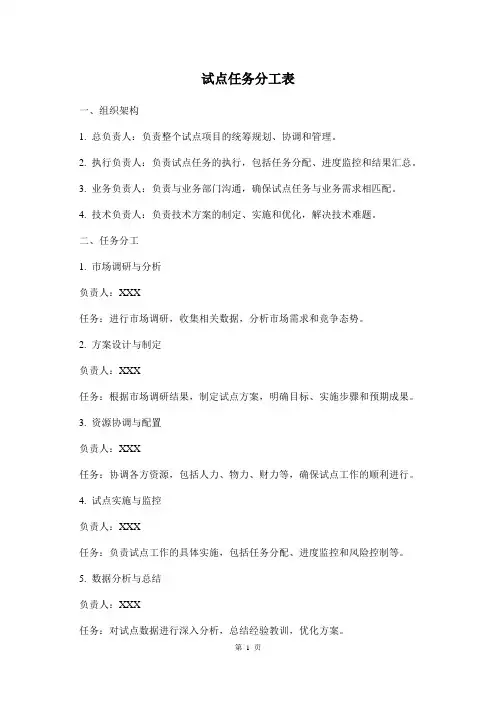 试点任务分工表
