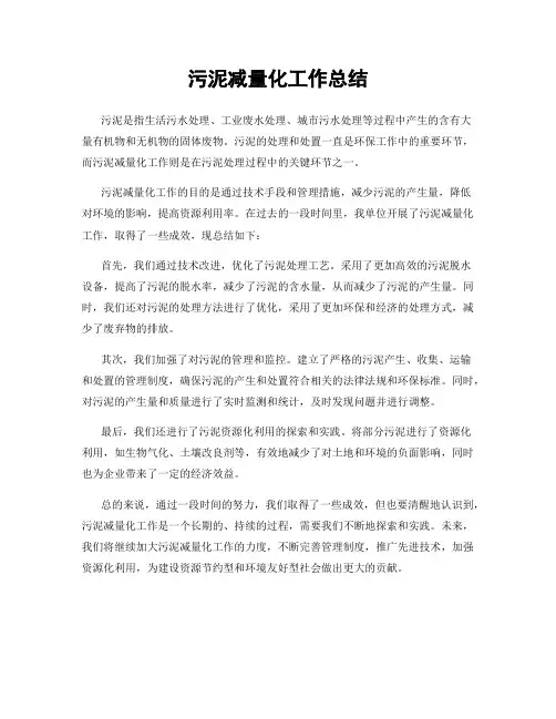 污泥减量化工作总结
