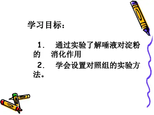 实验淀粉的消化作用