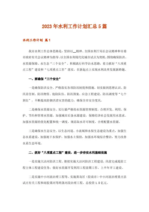 2023年水利工作计划汇总5篇_1
