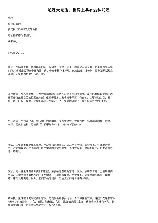 狐狸大家族，世界上共有22种狐狸