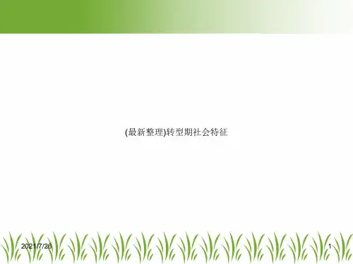 (最新整理)转型期社会特征