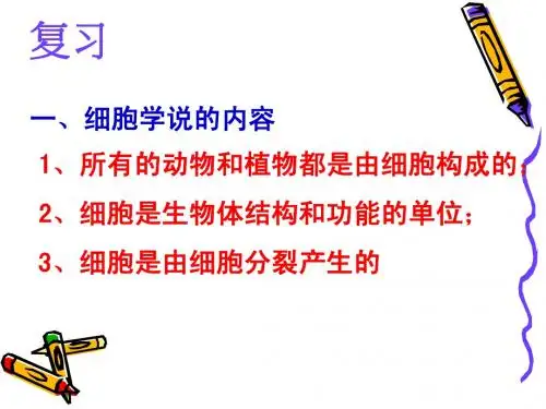 2.2显微镜的结构和使用ppt