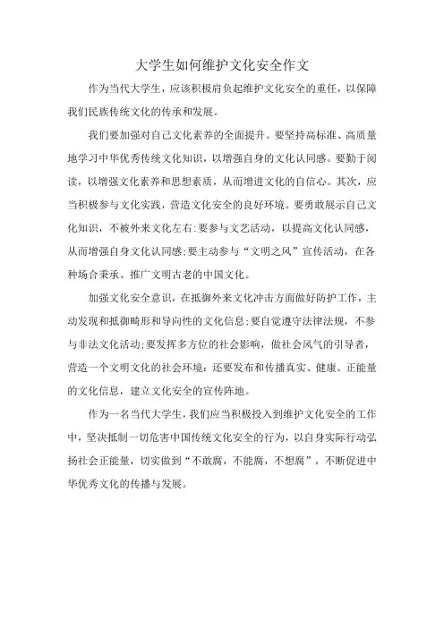 大学生如何维护文化安全作文