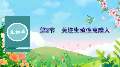 4.2关注生殖性克隆人课件-高二下学期生物人教版(2019)选择性必修3