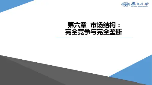 复旦大学微观经济学课件 (4)