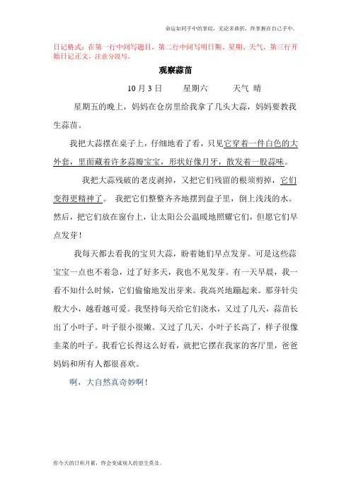 日记格式