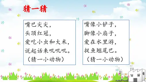 《小公鸡和小鸭子》精品PPT1