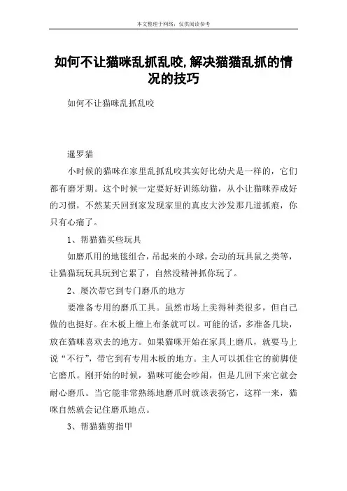 如何不让猫咪乱抓乱咬,解决猫猫乱抓的情况的技巧