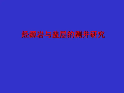 烃源岩与盖层测井评价