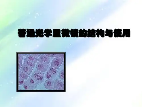 普通光学显微镜的原理和构造PPT
